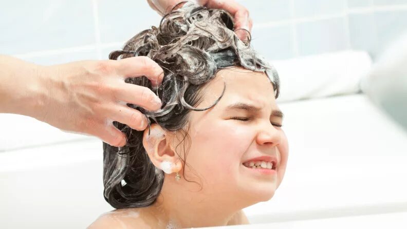 Растрепав свои прически моют головы березки Expert tips for how to treat head lice - Reviewed