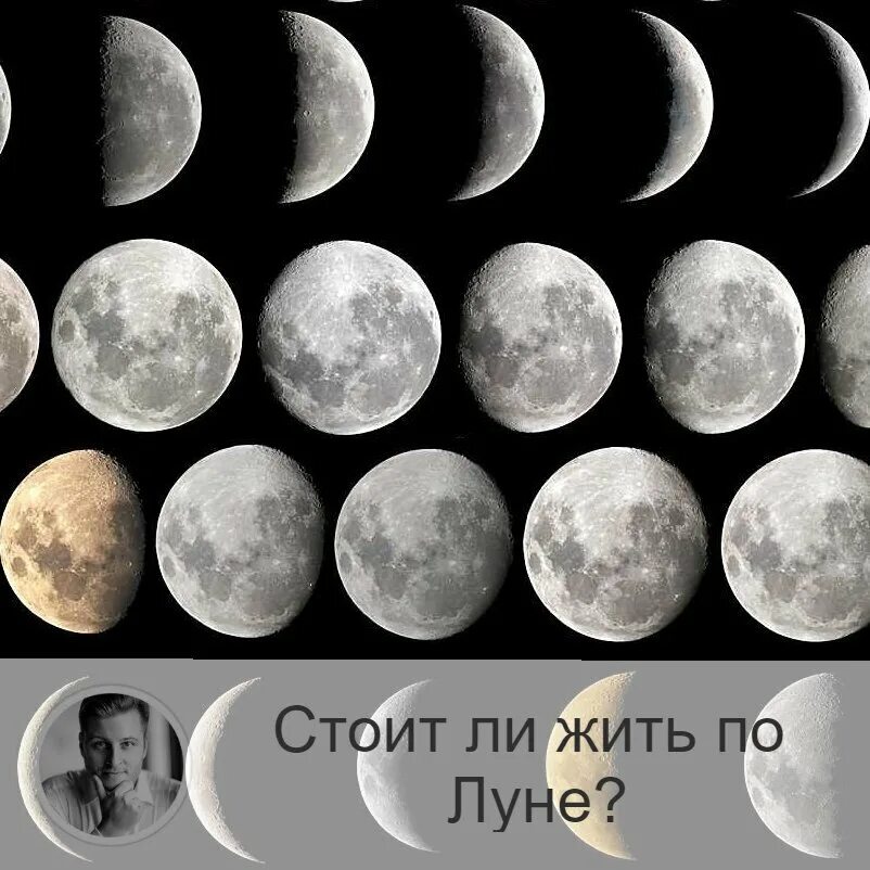 Растущая луна фото Стоит ли жить по Луне? Астролог Олег Персидский Дзен