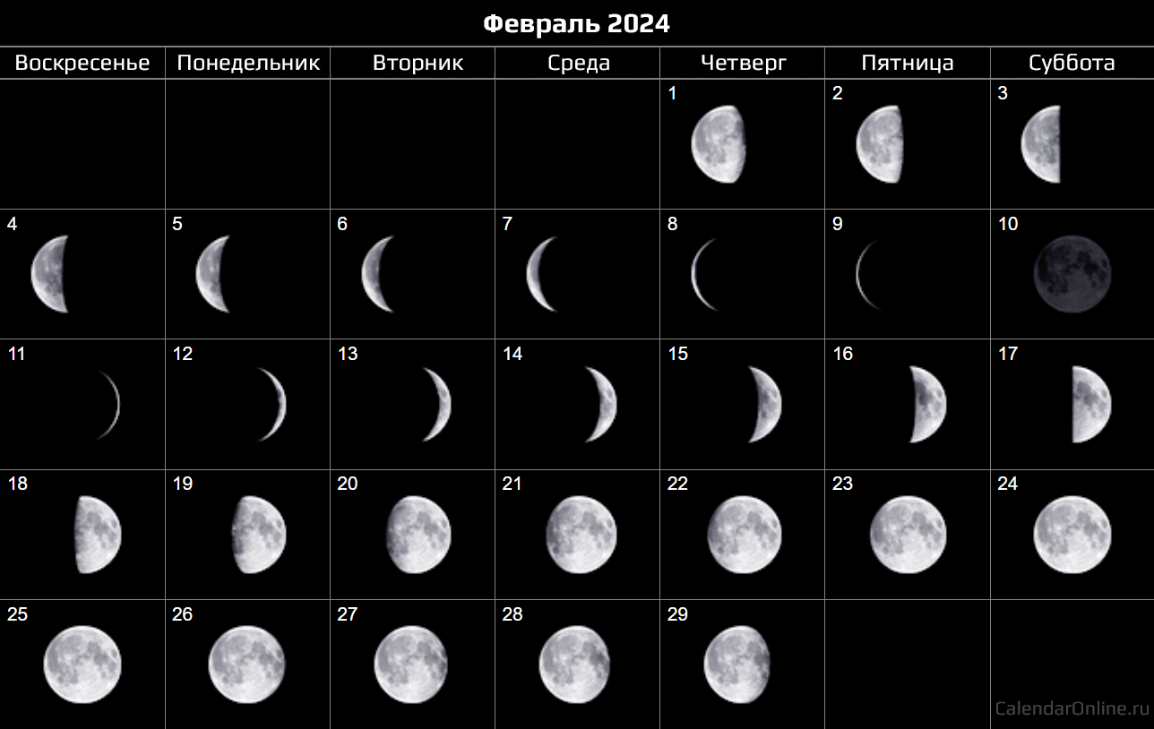 Растущая луна в сентябре 2024 для стрижки Лунный календарь рыболова на Февраль 2024 - Клев мирной и хищной рыбы!