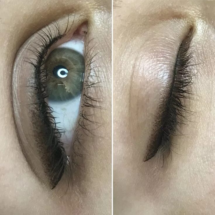 Растушевка ресниц фото до и после цена Pin on permanent makeup and tattooing Permanent eyeliner, Permanent makeup eyeli