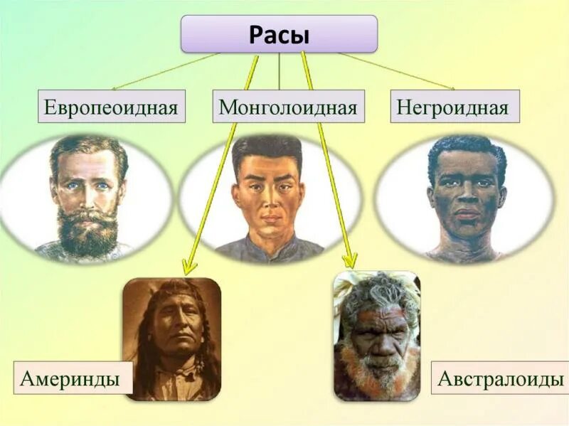 Расы людей на земле фото В Японии изучили влияние COVID-19 на разные расы людей