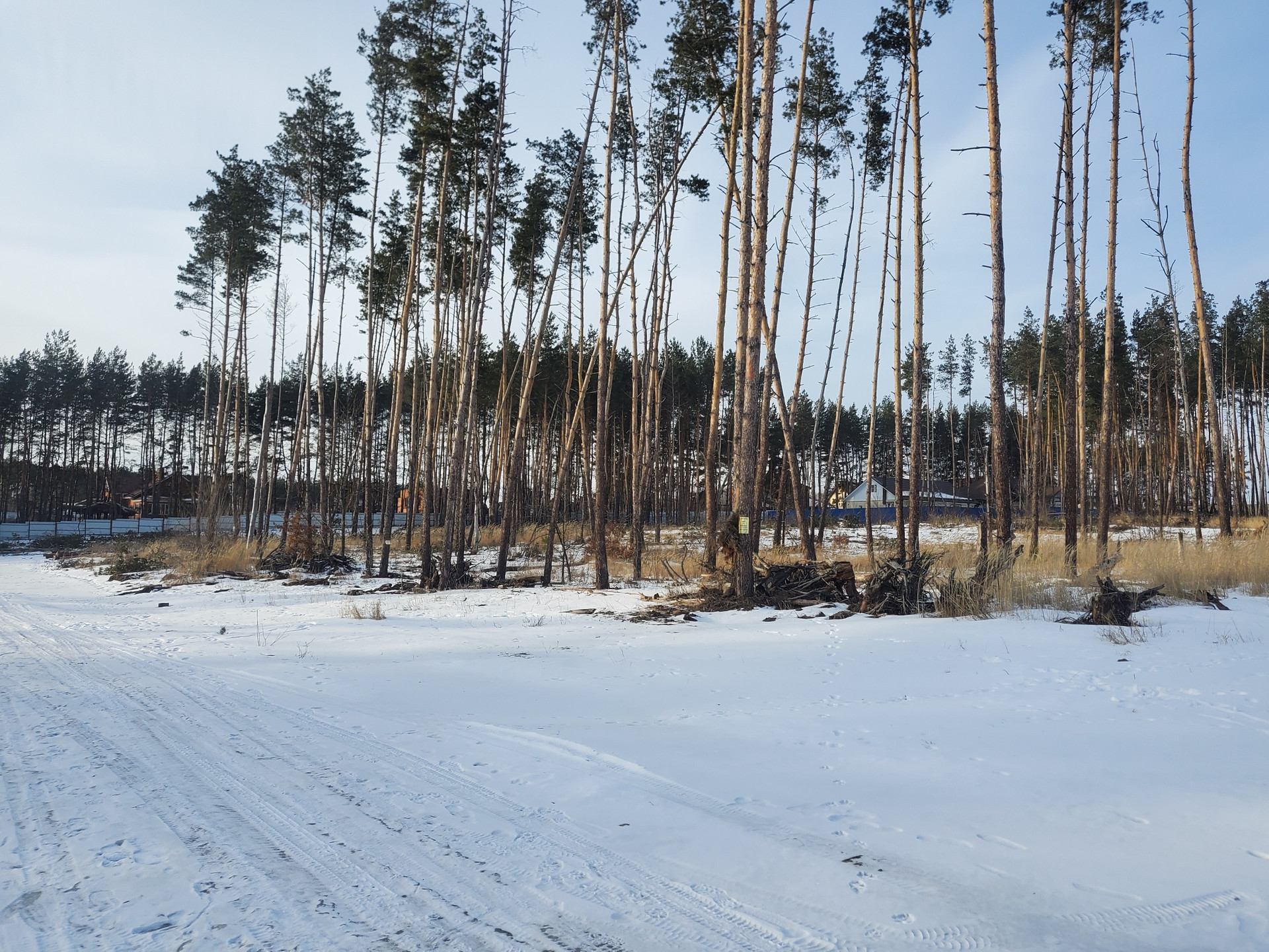 Равновесие лесная ул 26 село ямное фото Купить участок, 5.3 сот., ИЖС по адресу Воронежская область, Рамонский район, се