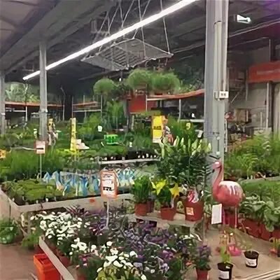 Рай садовая ул 2а фото Садовый Рай - Garden Center