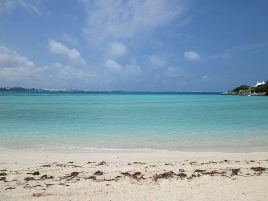 Район фото пляжей Отели рядом с Shelly Bay Beach, Приход Гамильтон - Tripadvisor