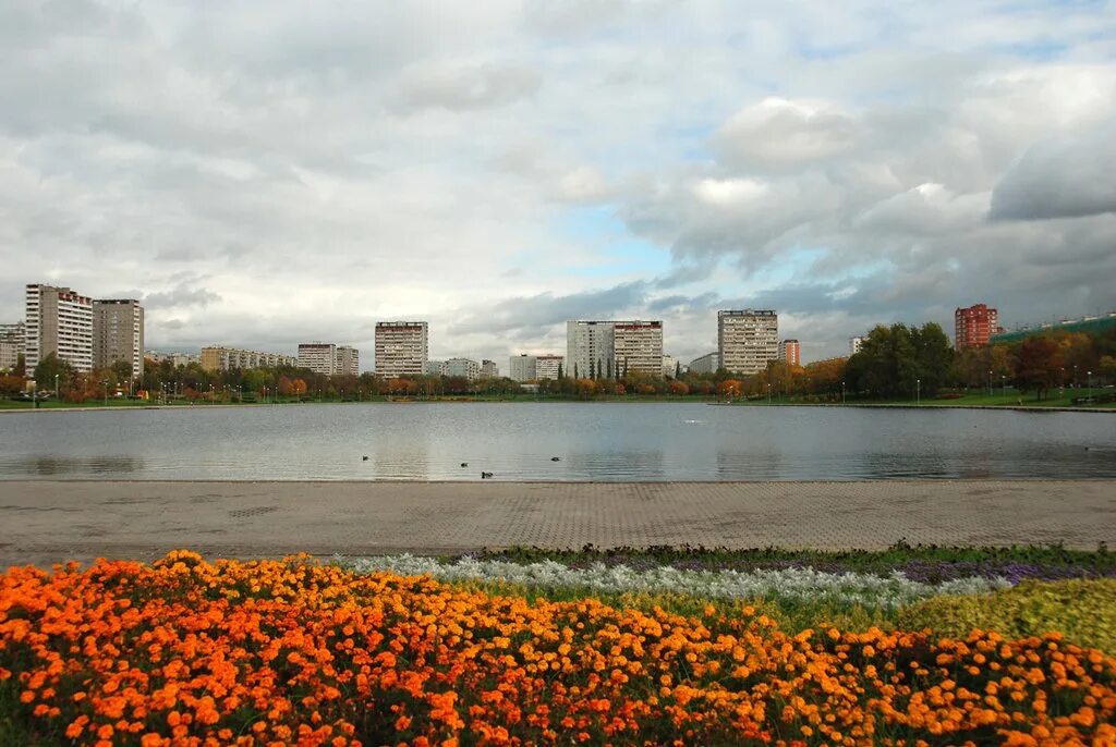 Район гольяново москва фото Сквер в Гольяново