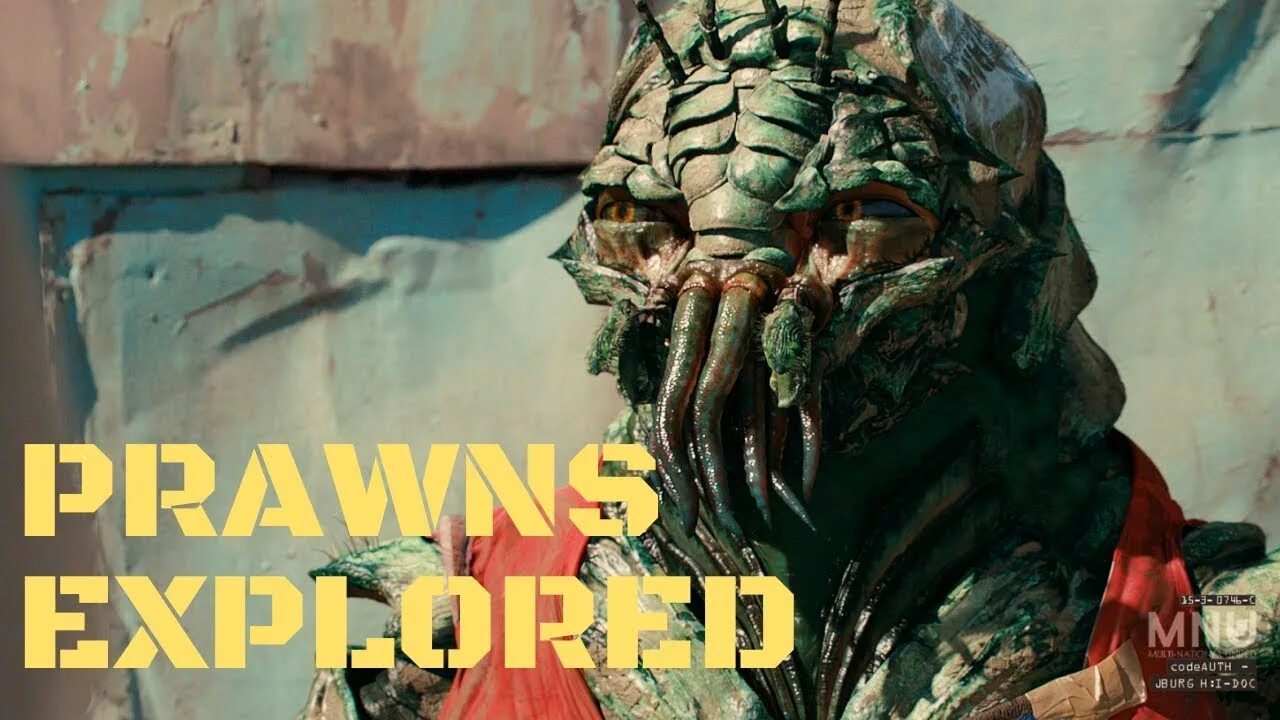 Район номер 9 фото Prawns and District 9: Our Best Worst Allegory - YouTube