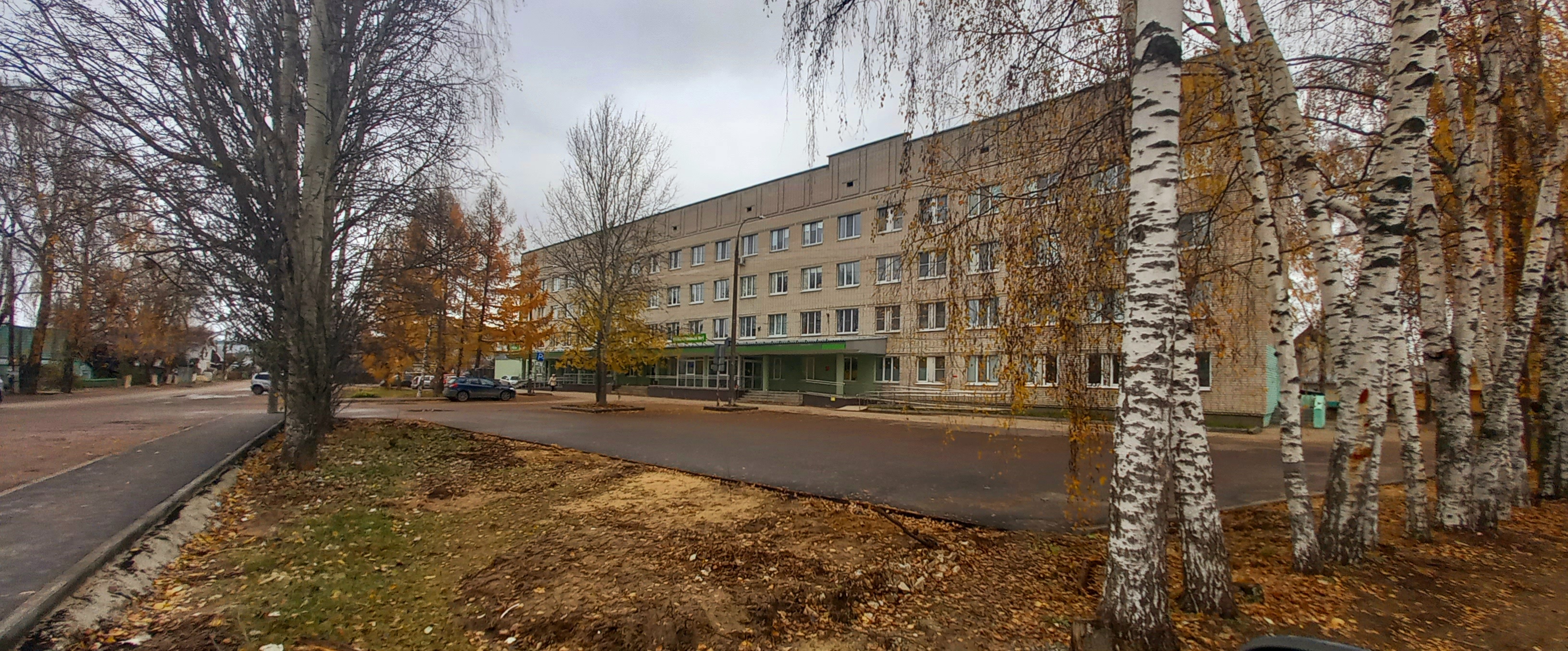 Районная больница ул болдина 1 фото Фото: ГБУЗ Но Борская районная больница, поликлиника № 1, поликлиника для взросл