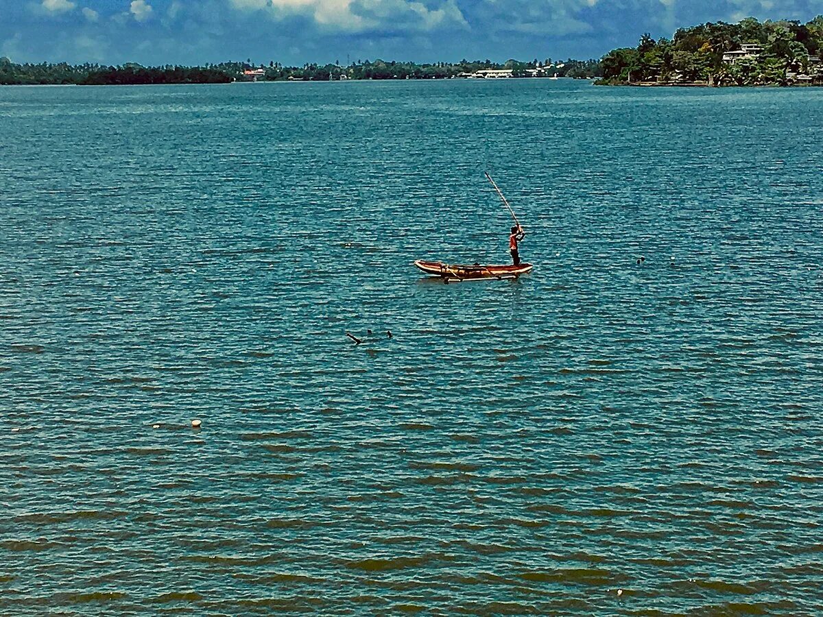 Райские медовые молочные озера фото детям File:Bolgoda Lake, Sri Lanka.jpg - Wikimedia Commons