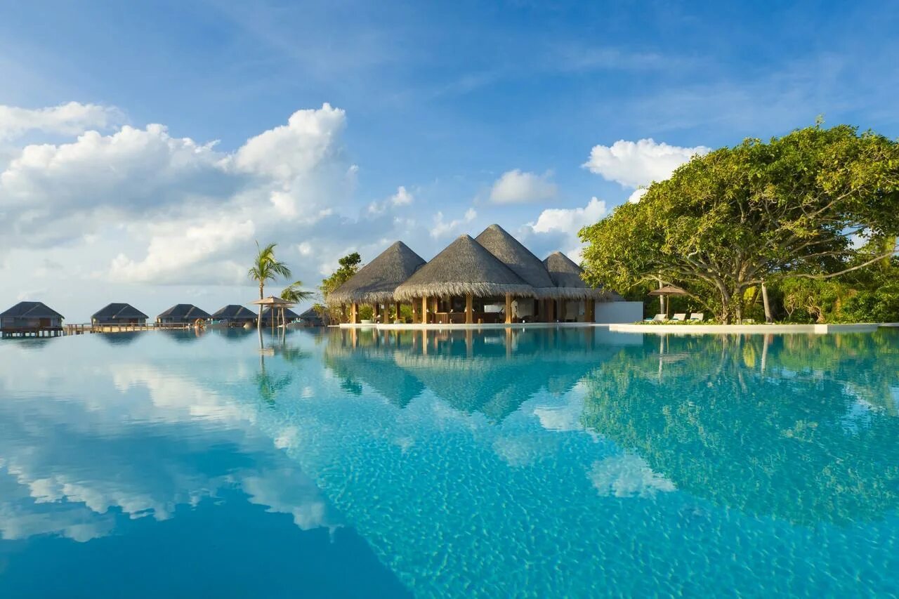 Райские острова фото Отель Dusit Thani Maldives 5* / Мальдивы / Баа Атолл - фото, туры в отель