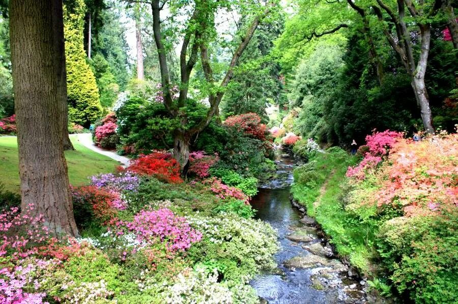 Райские сады ул свободы 87а фото Сад Боднант, Конуи и Лландидно (Bodnant Garden)