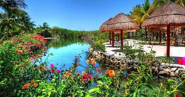 Райские условия на земле фото Tropical Lagoon - Album on Imgur