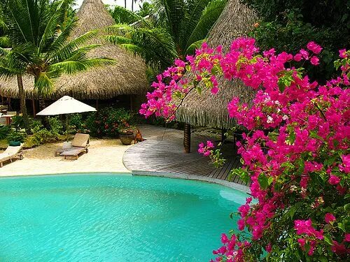 Райские условия на земле фото tropic paradise Outdoor decor, Places, Tropical garden