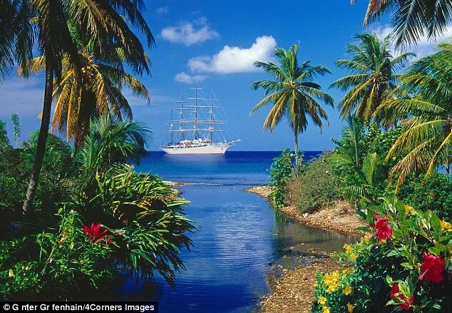 Райские условия на земле фото The Caribbean at its quietest: Welcome to Dominica, the island of rainforest and