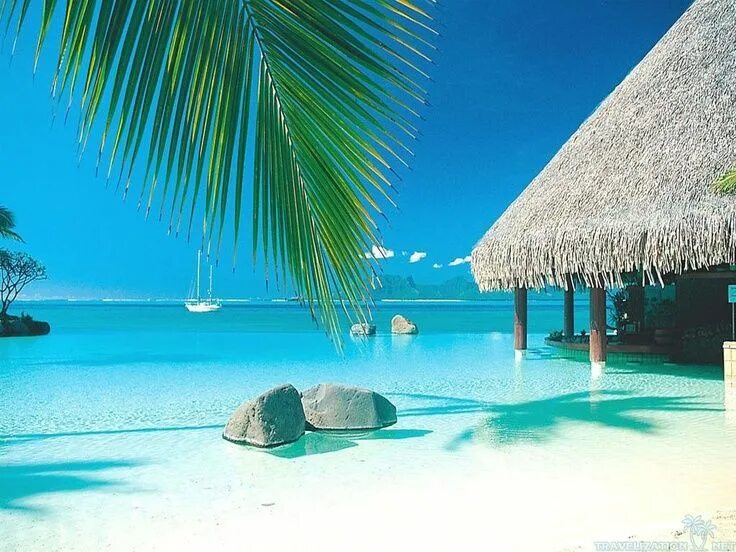 Райский остров фото картинки Top 10 Most Tropical Islands Places to travel, Places to visit, Vacation spots