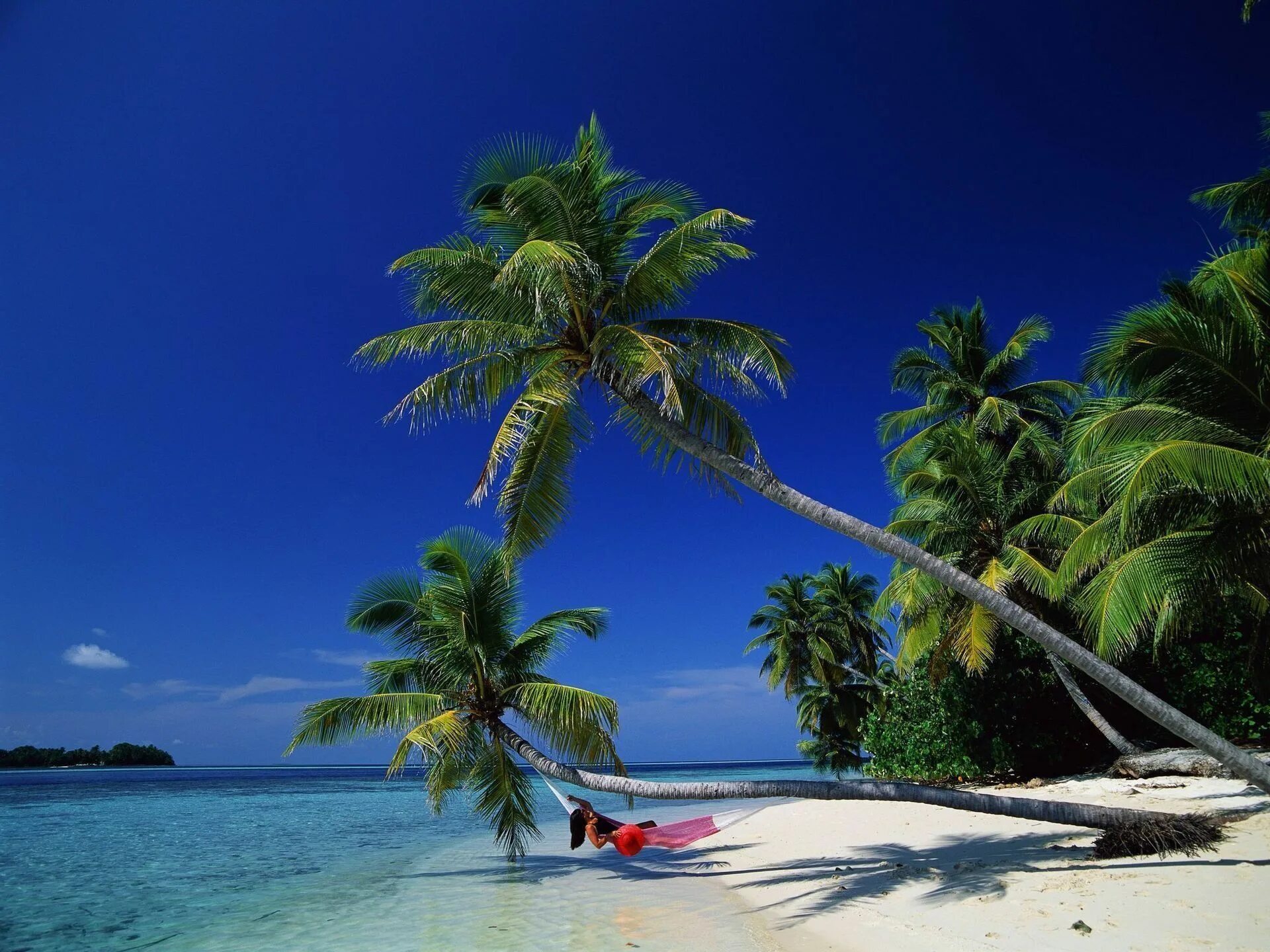 Райский остров фото картинки Paradise - hammock on a tropical island beach with palm trees in Tahiti Beach wa