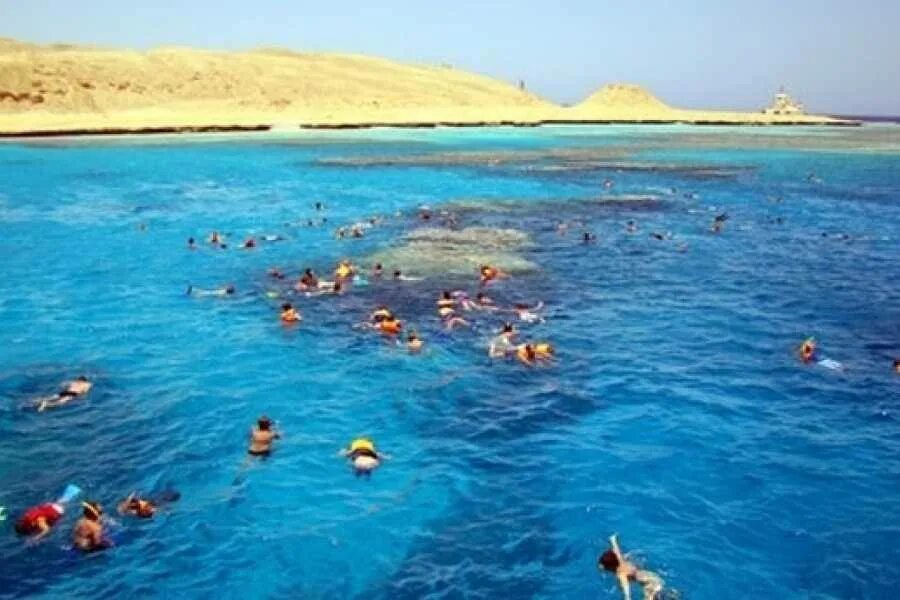 Райский остров хургада фото Giftun (paradise , orange)Island snorkeling trip from Hurghada - Daily Tours Egy