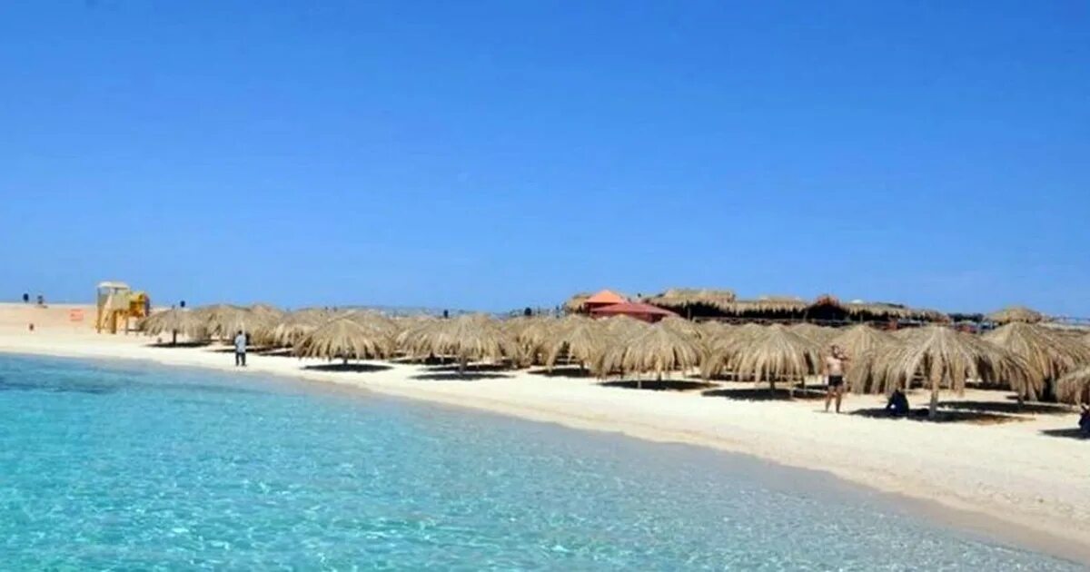 Райский остров хургада фото From Hurghada: Paradise Island Full-Day Snorkeling Tour GetYourGuide