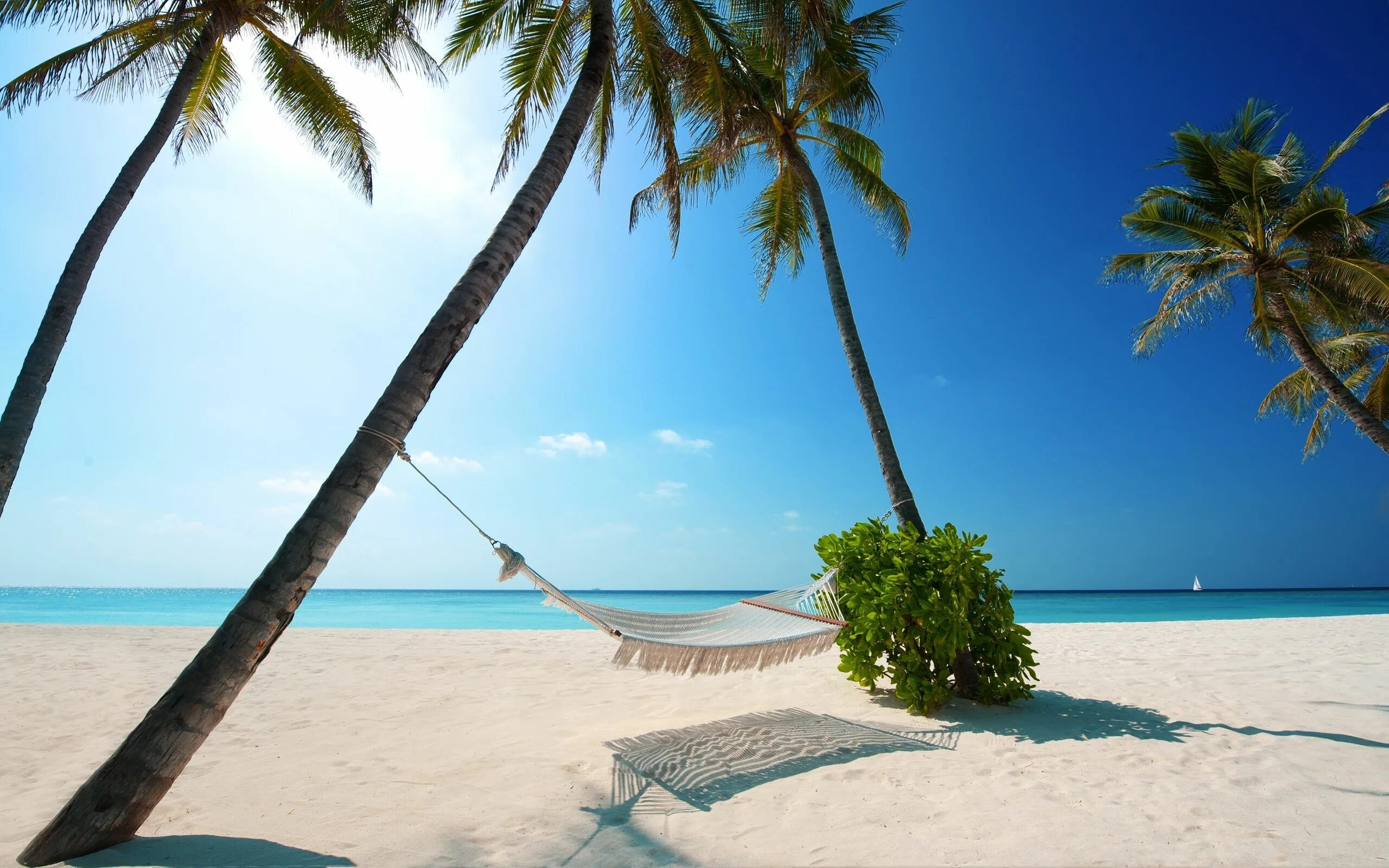 Райский пляж фото Beach Hammock - High Definition Wallpaper Playas paradisiacas, Paisajes, Lugares