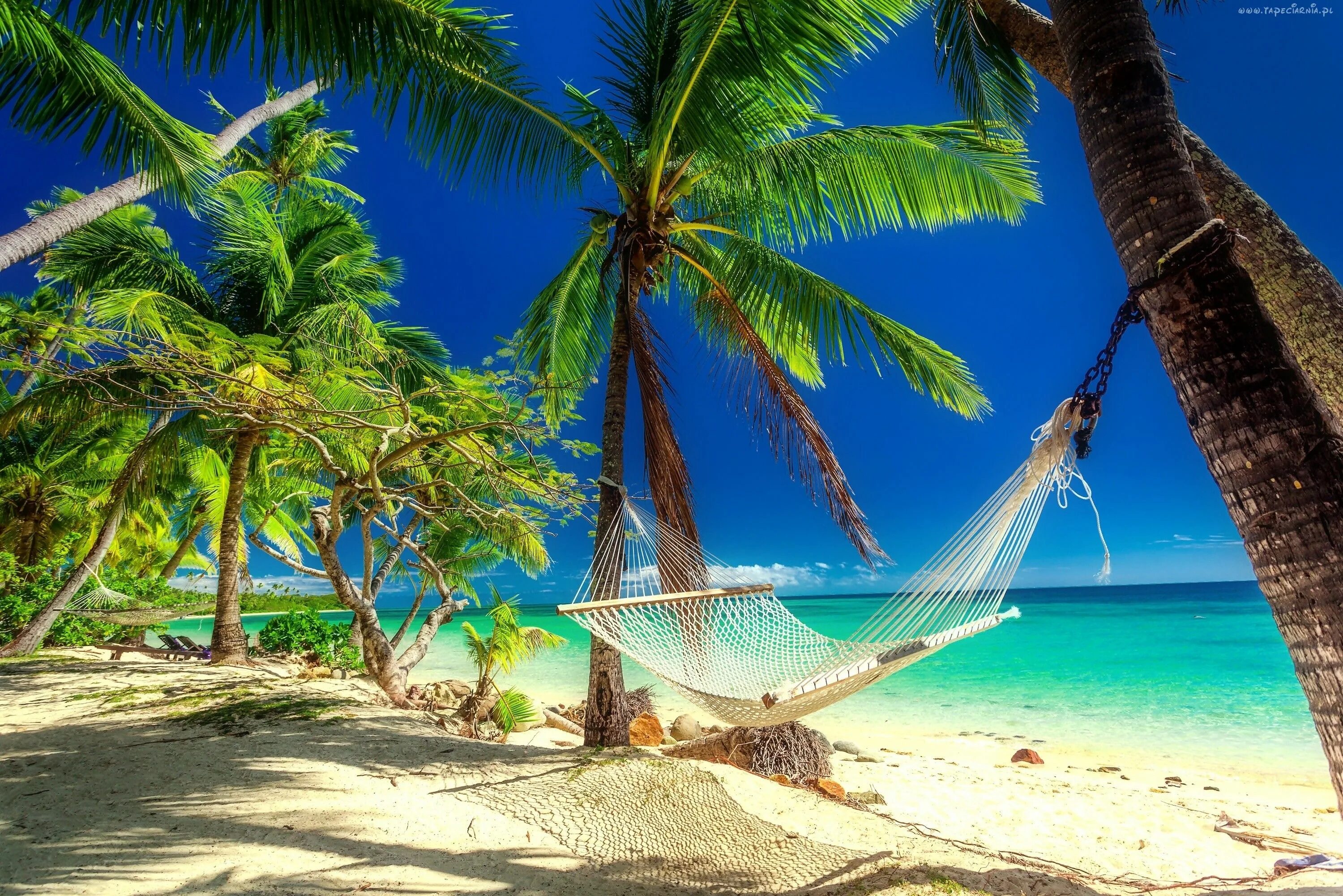 Райский пляж фото Tropikalna, Plaża, Palmy, Hamak, Morze, Lato Lati