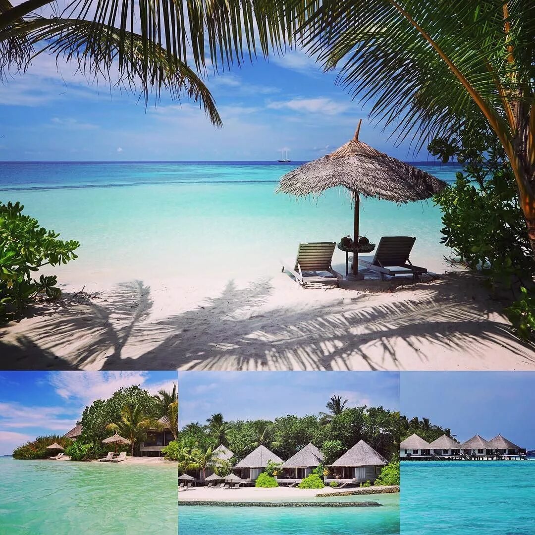 Райский пляж фото All the amazing views around the tiny island of the Gangehi Island Resort in the