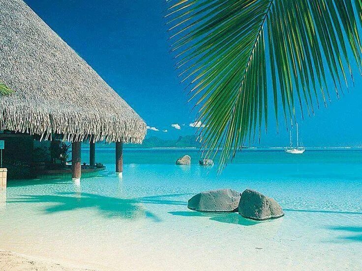 Райский пляж фото Bora Bora Places to visit, Honeymoon places, Places to travel