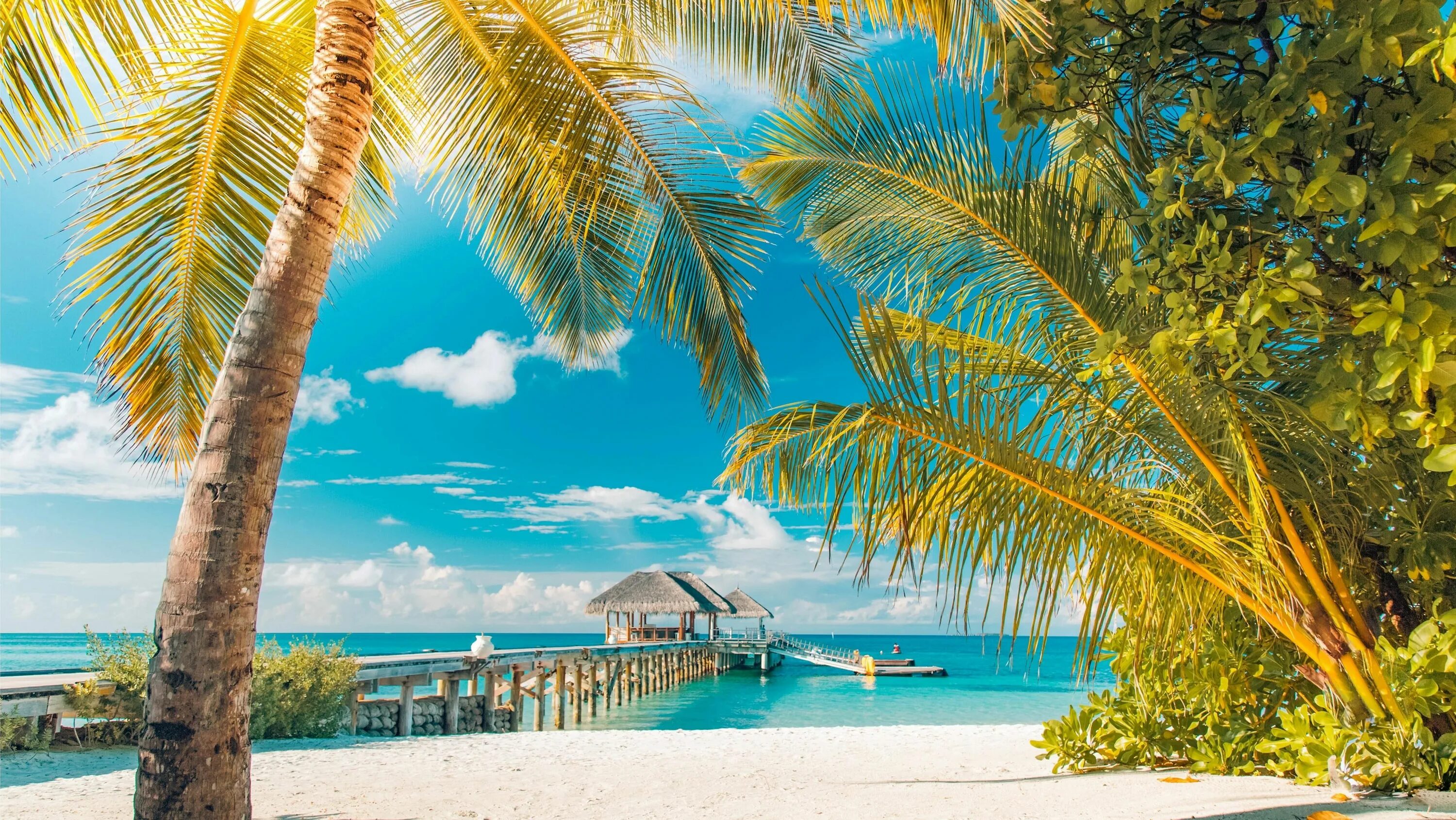 Райский пляж фото Wallpaper Sea, Sunny Day, Sunshine, Summertime, Beach Playas paradisiacas, Playa