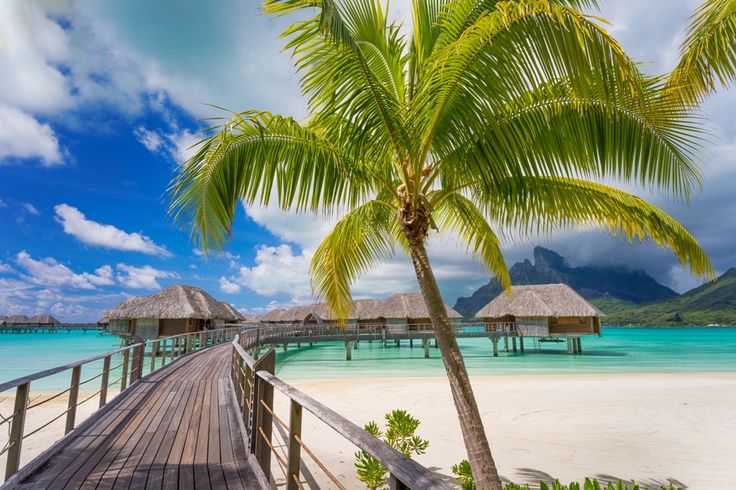 Райский пляж фото Bora Bora - it should be your paradise Beach paradise, Coastal landscape, Beach 