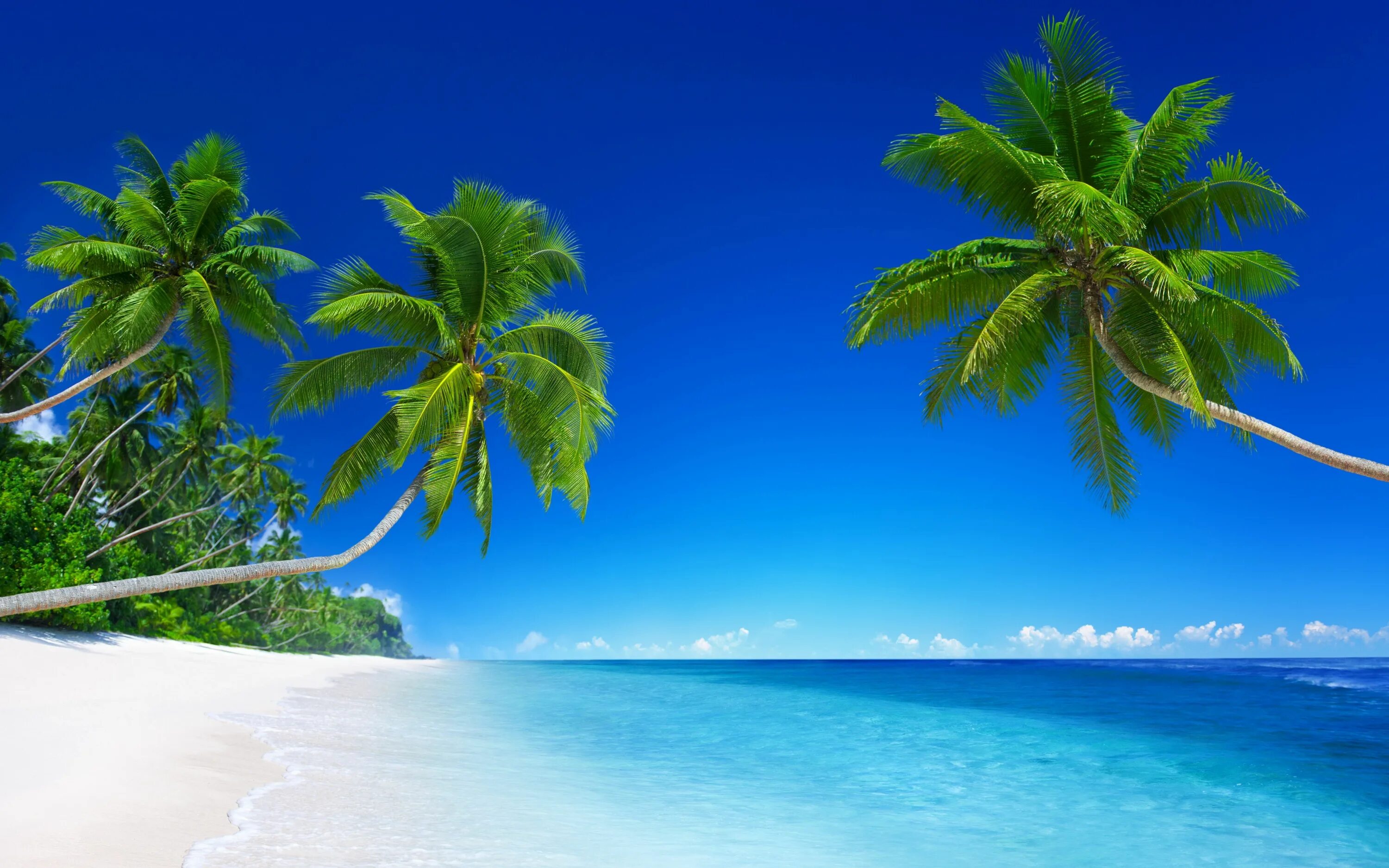 Райский пляж фото Hi Res Beach Wallpapers - Top Free Hi Res Beach Backgrounds - WallpaperAccess La