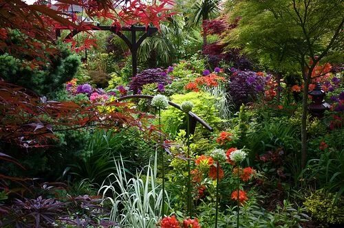 Райский сад фото Lower garden in spring Pergola garden, Beautiful gardens, Garden inspiration