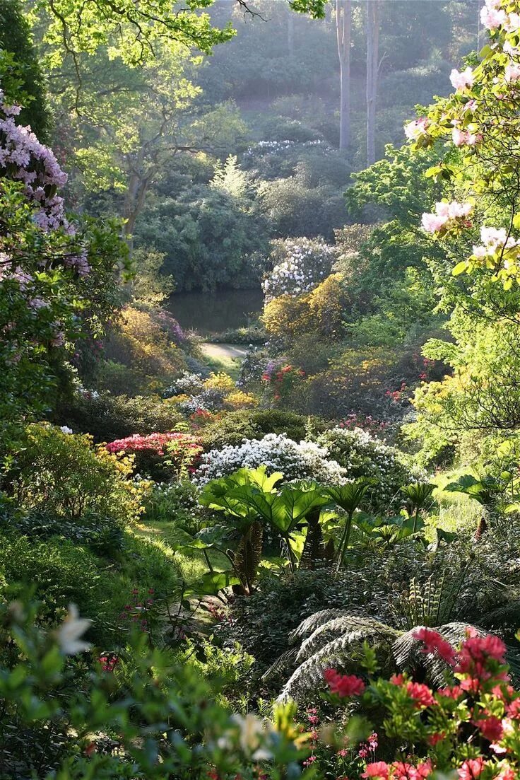 Райский сад фото Last chance to see Garden history, Lake garden, Beautiful gardens