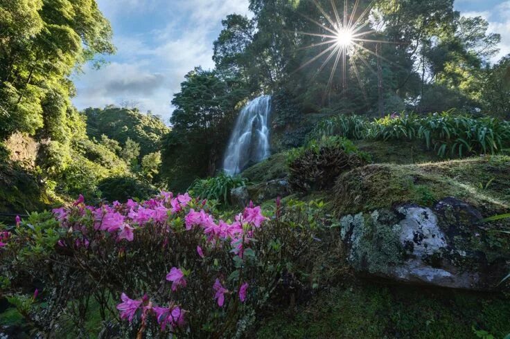 Райский сад фото shutterstock_612417140 Sao miguel, Hot springs, Natural landmarks