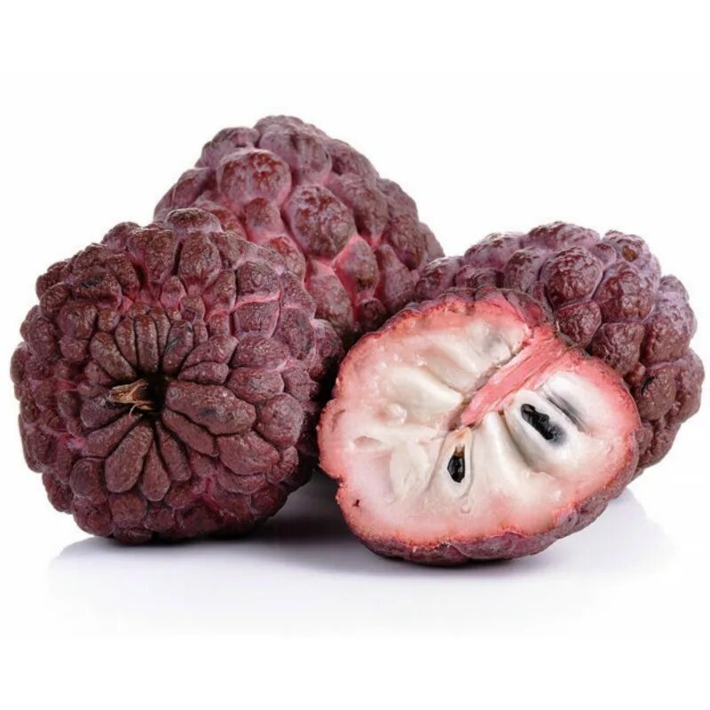 Райское яблоко фрукт экзотический фото Red Custard Apple Seeds RARE (Annona reticulata) - السعر € 4.95