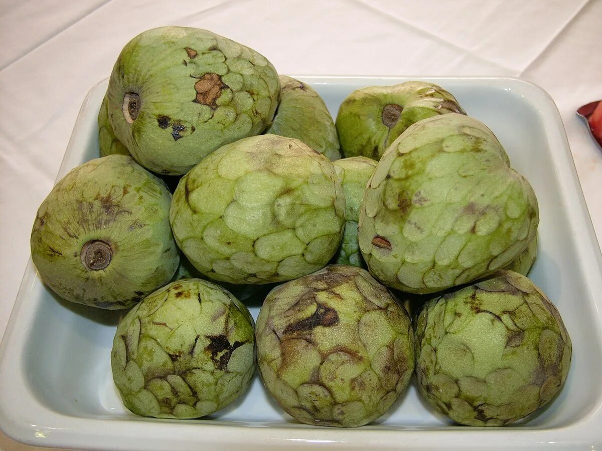 Райское яблоко фрукт экзотический фото File:Cherimoya fruit hg.jpg - Wikipedia