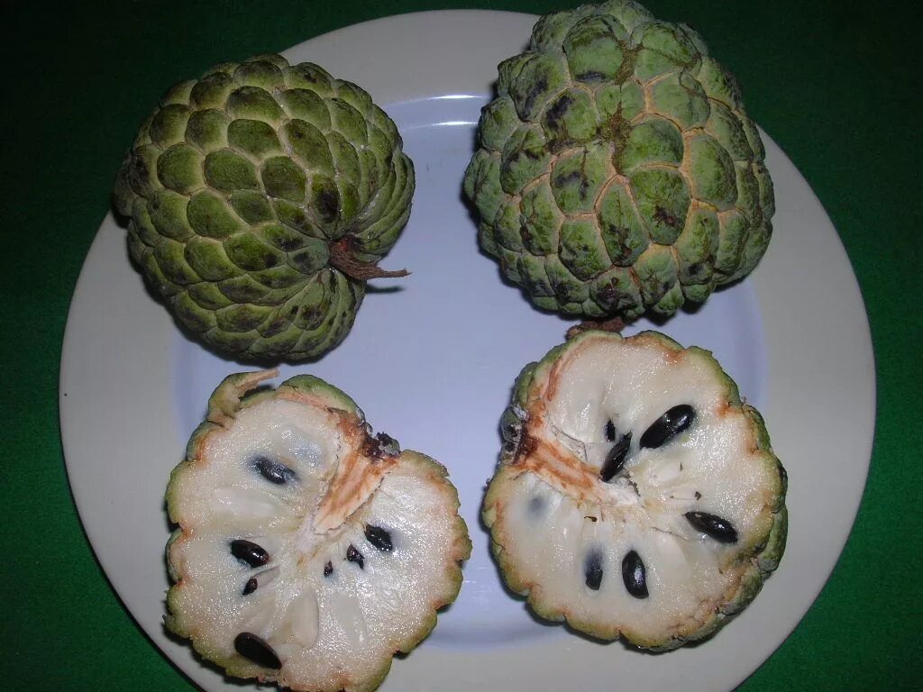 Райское яблоко фрукт фото The sugar apple has many names, including custard apple, atis, cherimoya, and sw