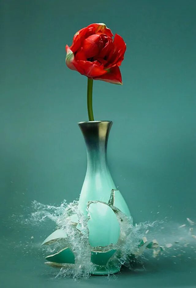 Разбитая ваза фото Exploding Vases Flower vases, Martin klimas, Vase