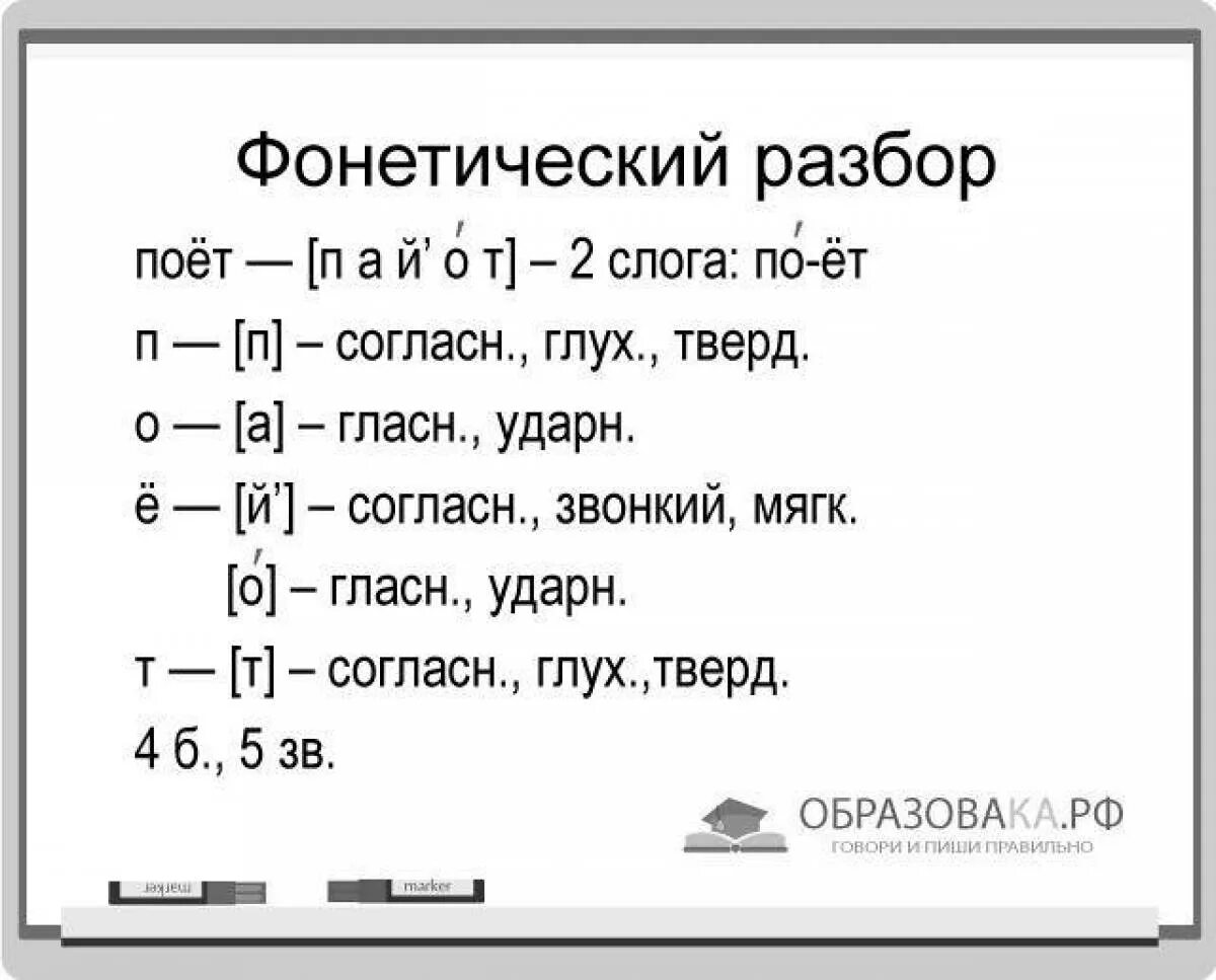 Разбор слова дом схема Звукобуквенный разбор жуки