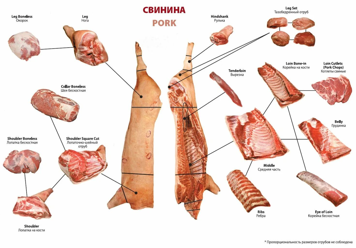 Разделанная свинина фото Схема разруба свинины Свинина, Мясо, Свиной шашлык