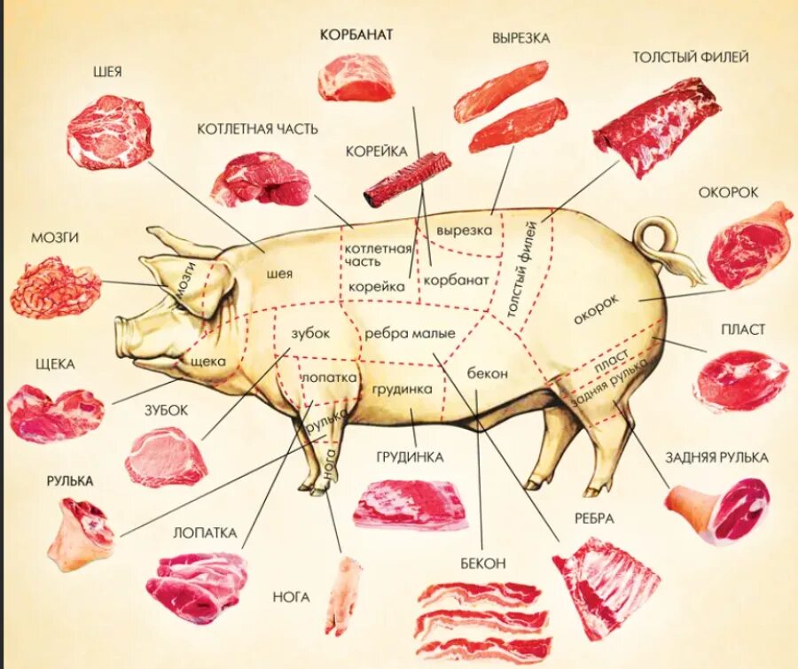 Разделанная свинина фото Разделка туши свинины