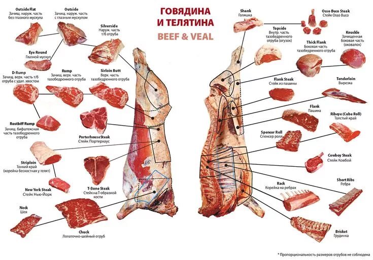 Разделанная туша медведя фото Каталог: первое, второе и компот Beef, Beef cuts, Meat