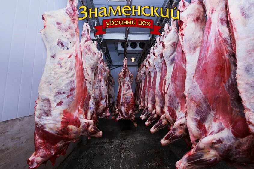 Разделанная туша медведя фото Знаменский Убойный Цех, meat products wholesale, posyolok Znamenskiy, Novaya Str