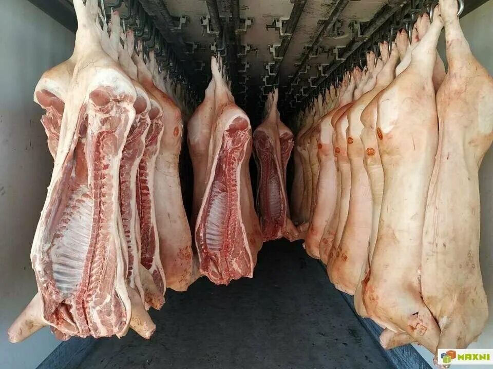 Разделанная туша медведя фото Мясная база, meat products wholesale, derevnya Yelino, Avtoremontnaya ulitsa, с2