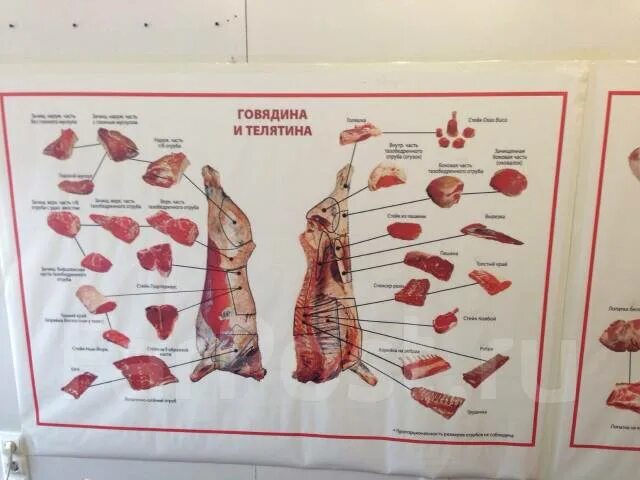 Разделанная туша медведя фото Банер разделка мяса, разделка туши свиньи и телятины. Цена: 2 000 ₽ во Владивост