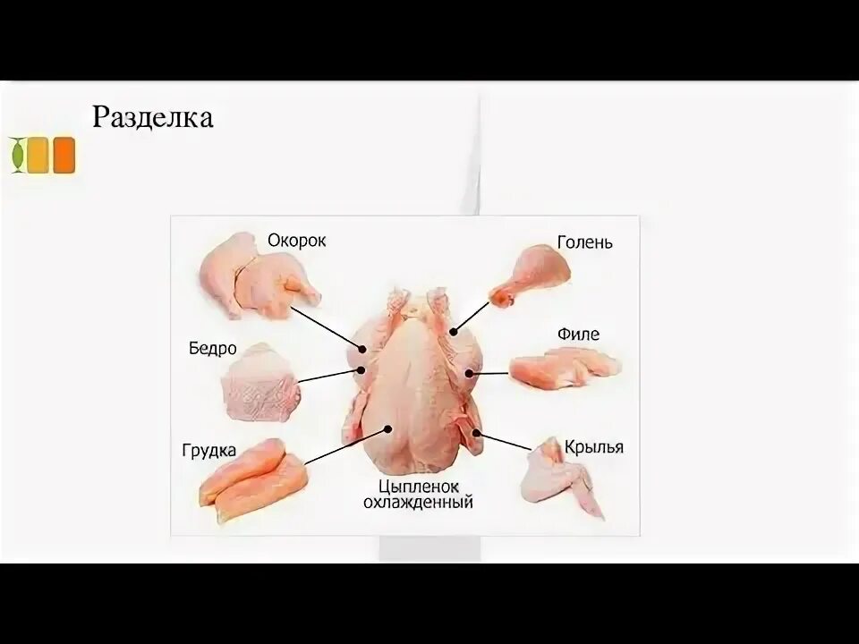 Разделка курицы на части схема фото Разделка курицы, быстро и понятно/ Как правильно разделать курицу/ Пошаговая инс