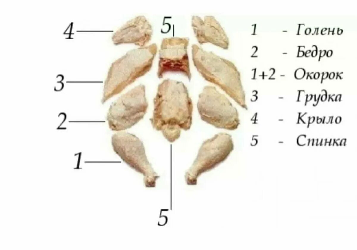 Разделка курицы на части схема фото Магнит. Моя цена. Мясо цыпленка в собственном соку. Заявка на качество по ГОСТу.