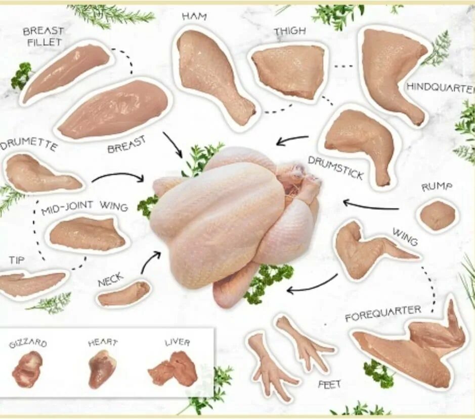 Разделка курицы на части схема фото Птица: покупка и продажа оптом и в розницу от производителя, цены - АгроМер