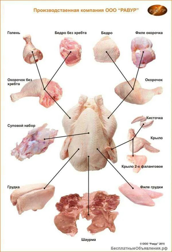 Разделка курицы на части схема фото Плакат "Разделка курицы" ламинир, А1 купить в Москве