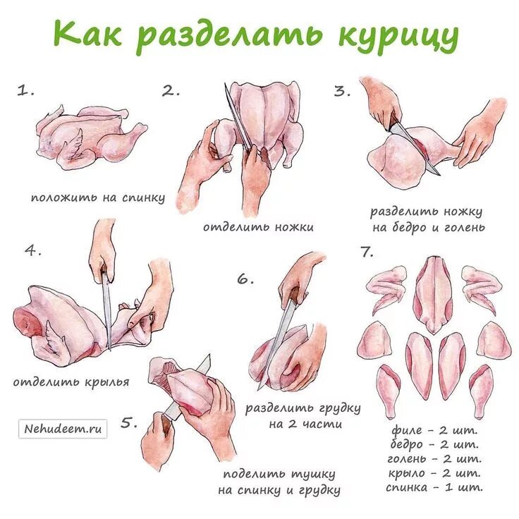 Разделка курицы на части схема фото Курица - самый доступный и популярный мясной продукт. Сейчас не проблема найти в