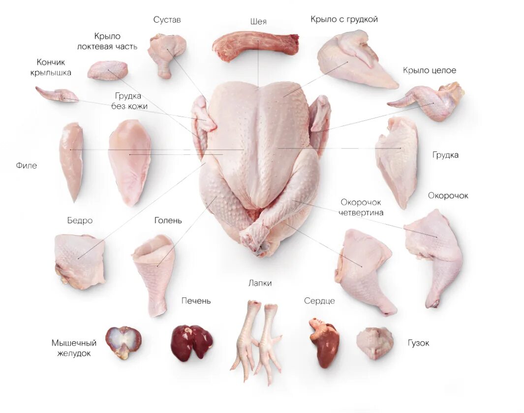Разделка курицы на части схема фото Аудит производителя мяса птицы и полуфабрикатов из мяса птицы - Статьи МЦСиС "Ха