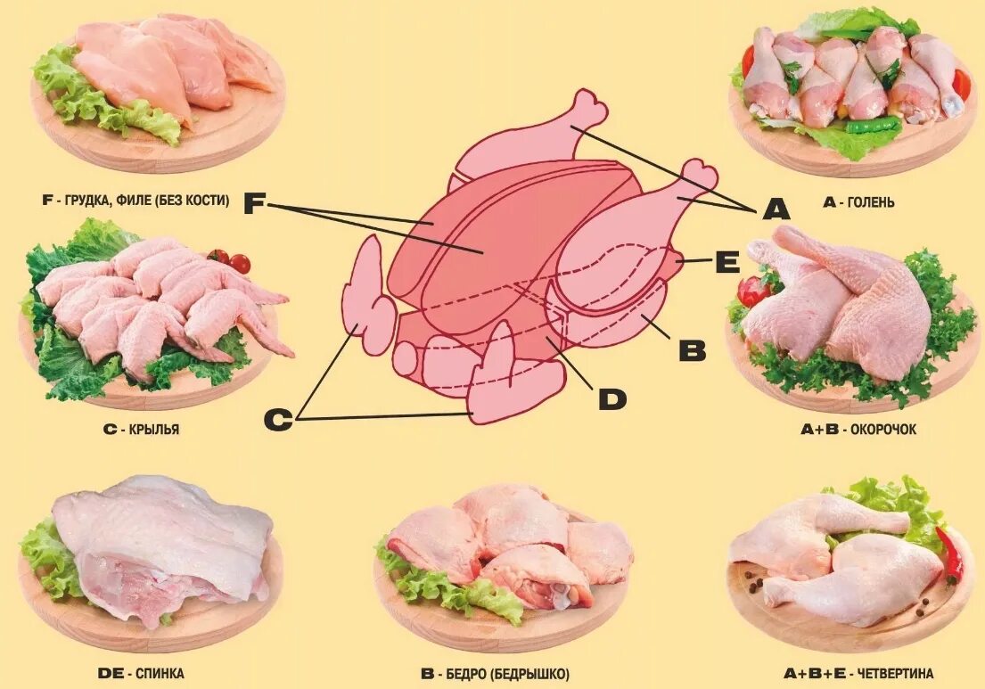 Разделка курицы на части схема фото Как разделать курицу правильно на части: пошагово, быстро и просто и что из нее 