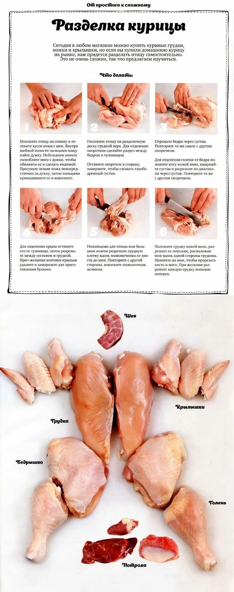 Разделка курицы на части схема фото пошагово Разделка курицы